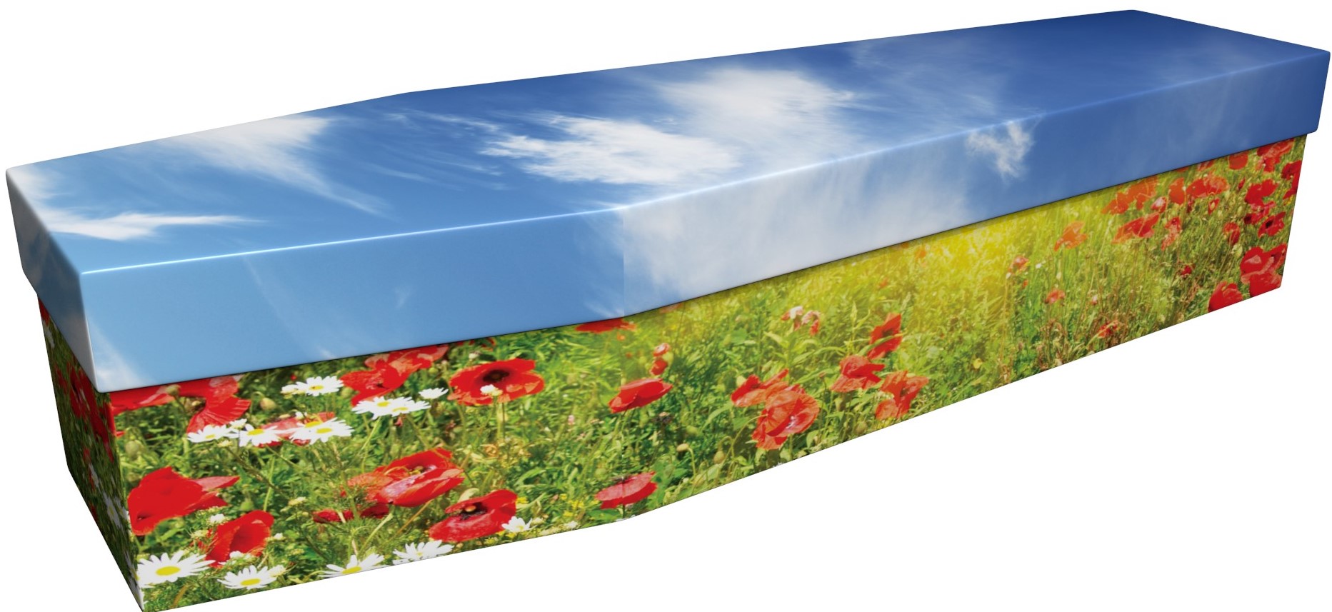 Standard Cardboard Coffin Picture Range